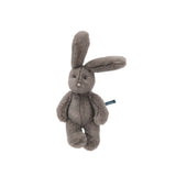 ArthuretLouison_LittleGreyRabbit_DragonflyToys1