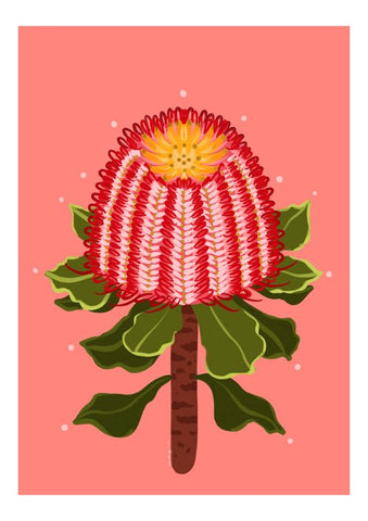 Greeting Card - Pink Waratah, Dragonfly Toys 