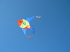 Large Fish Kite Dragonflytoys 